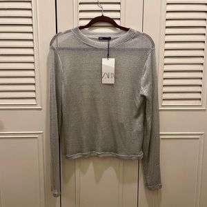Zara Sheer Soft Metallic Long Sleeve Top